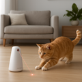 Interactive Laser Toy