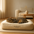 Memory Foam Bed